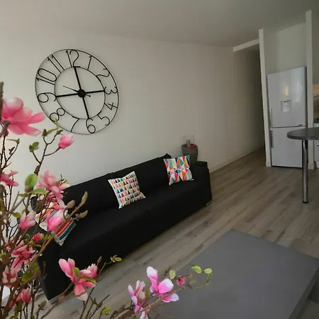 Les Du Vieux Port Apartment